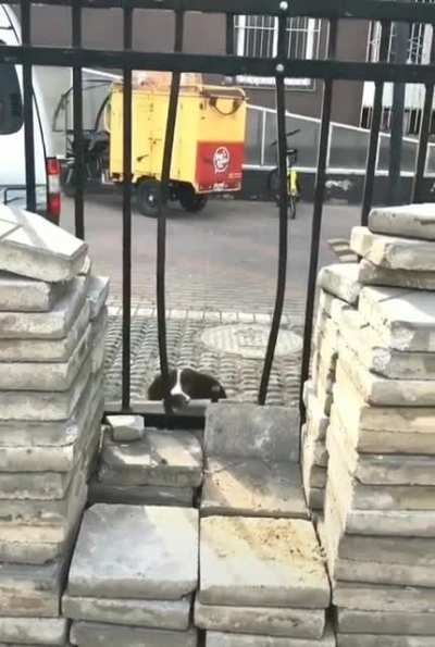 Wait for it