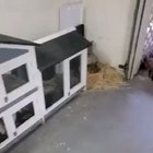 Awwwwwwwww ?