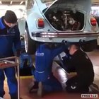 That's how beetles are made