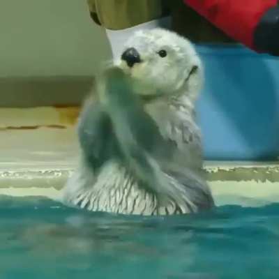 Hey Look! I am in water ??