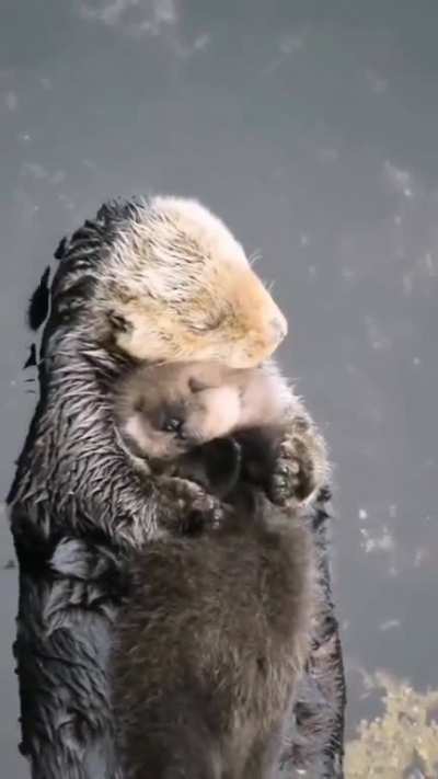 So peaceful and heartwarming