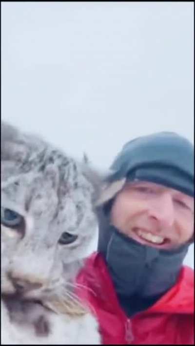 Guy grabs wild lynx by the back of his neck after catching him in the chicken coop.