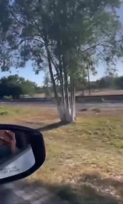 ?️