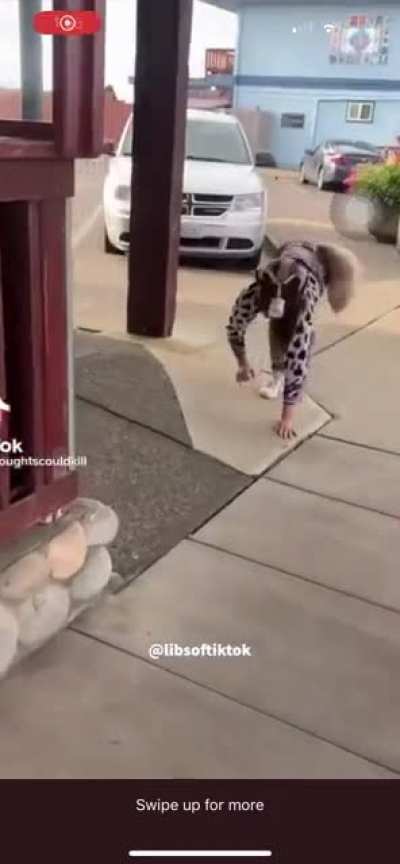 Keep your furry on a leash ?