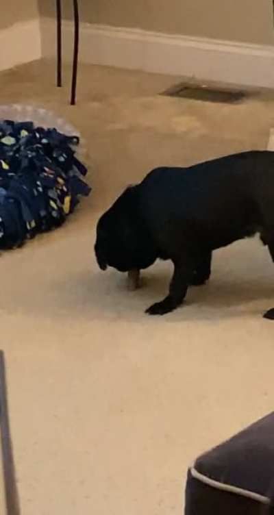 Gary does this with all his bones ?‍♀️