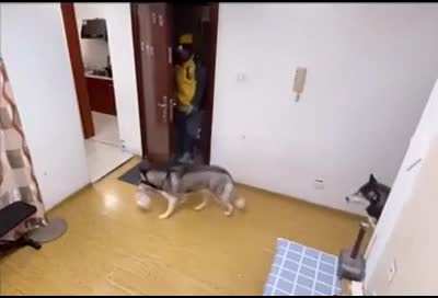 Wait for it...