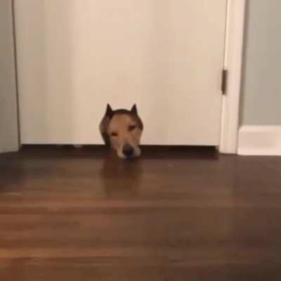 "Uhhh... excuse me..."