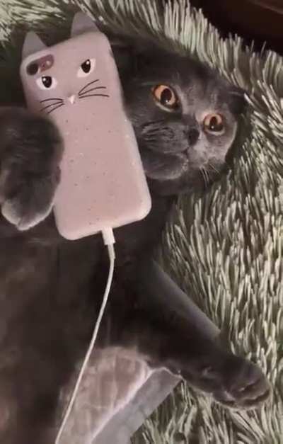 Customer Service