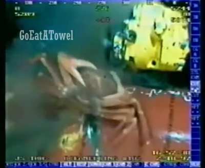 Crab. Crab. Crab.