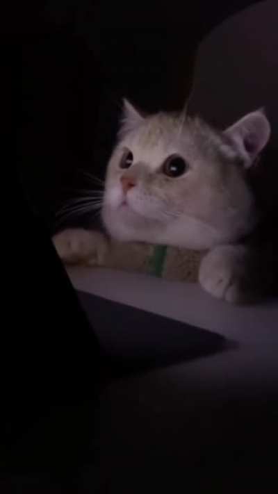 ??