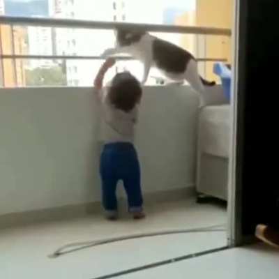 When the babysitter is a cat, rest assured, your child will be in good "paws" ...