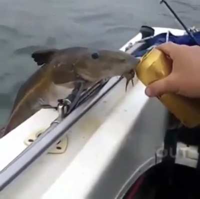Bruh that’s a thirsty fish?