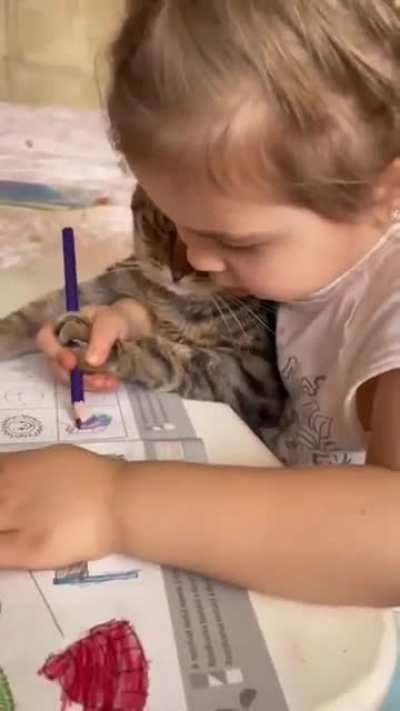 A child learns poor cat to do paintings