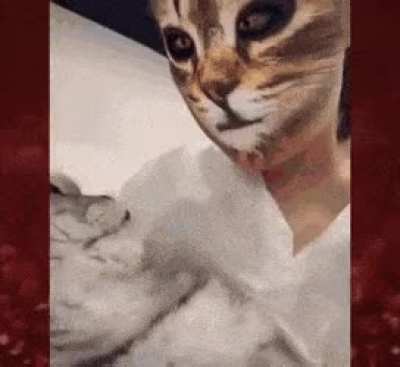 My hooman is cat