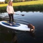 doggo paddle