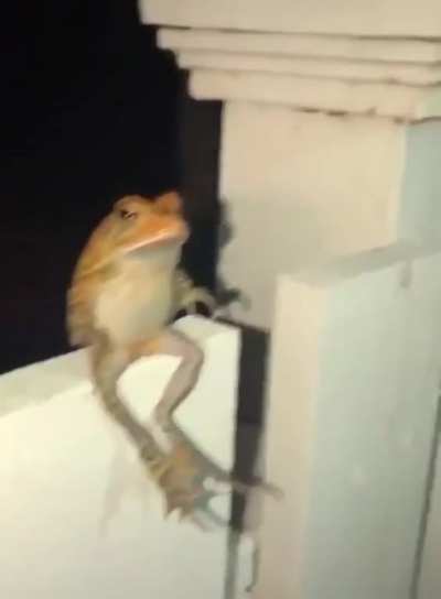 Maybe maybe maybe