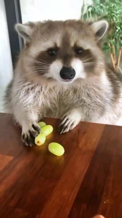 Awww??