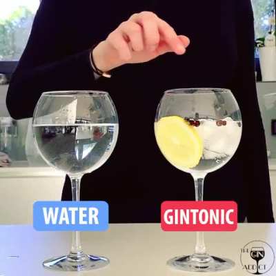 Gin Tonic