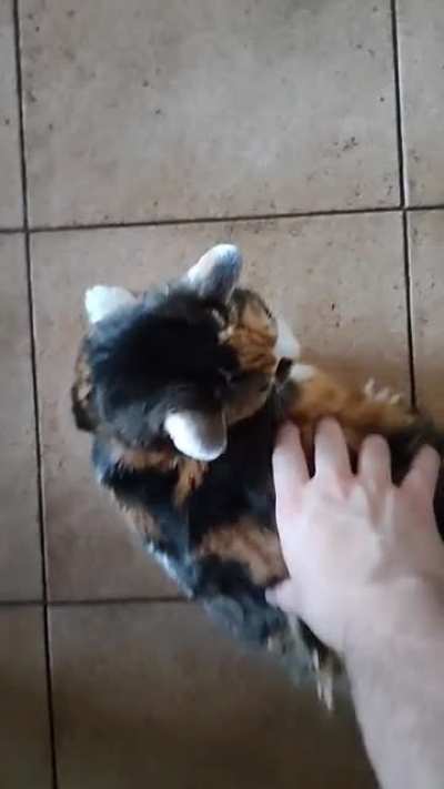 She's deaf and easily stratled