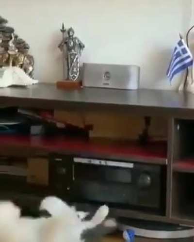 "Oops. Just a nightmare! Imma keep sleeping then"