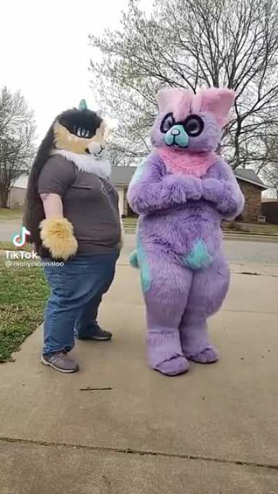 Ha ha poggy poggers meme sus???