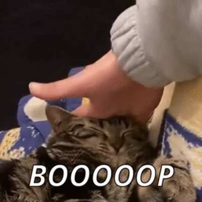 Booooop