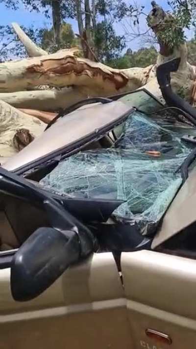 That’s quite a bit of damage