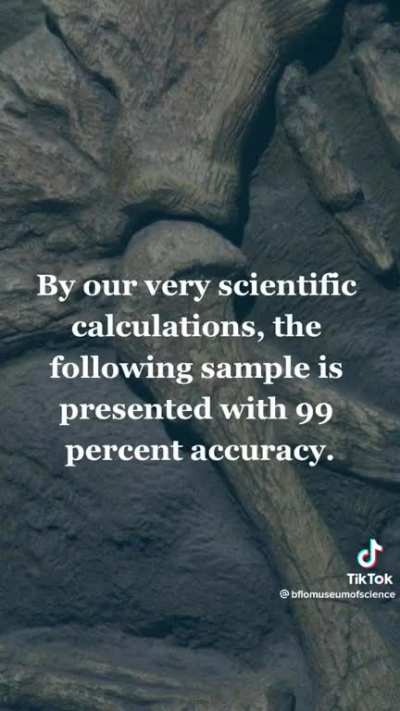 I never knew dinosaurs could sound like this