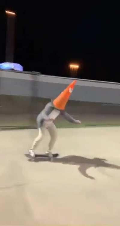 Coney hawk