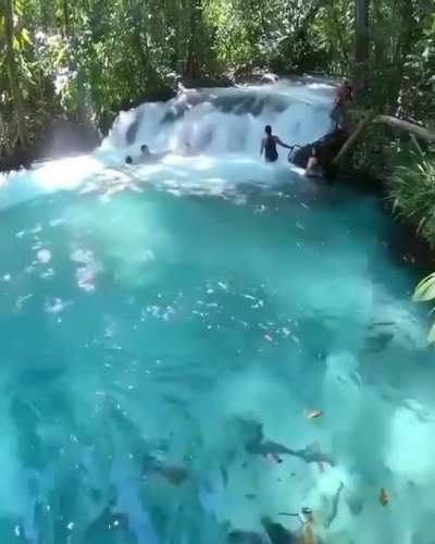 ? Jalapao, Brazil