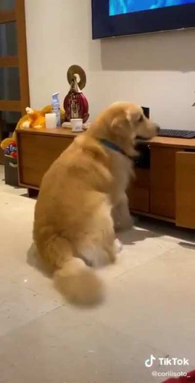 Shake dat ass