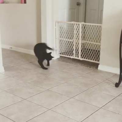 Two days after his adoption...We definitely made the right choice ?