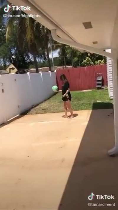 A fun game of catch
