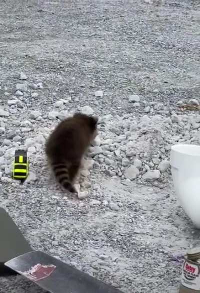 "Dad wait, I'm coming!"