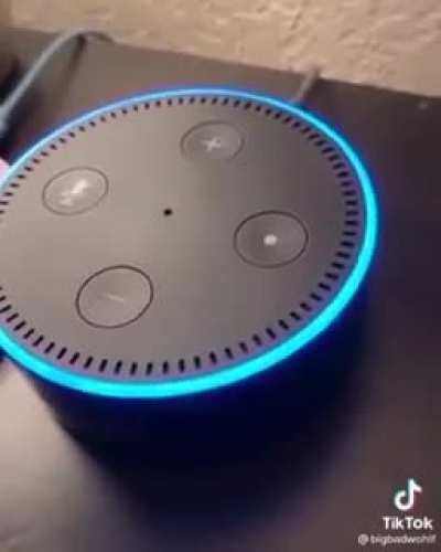 Like... damn Alexa ?