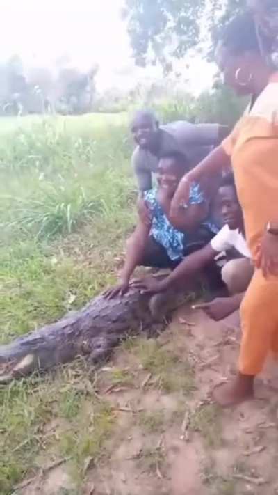 Let's treat a dangerous animal in the wild like it's just a harmless prop ??‍♂️