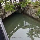 Only in Japan