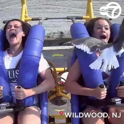 WCGW trying the slingshot