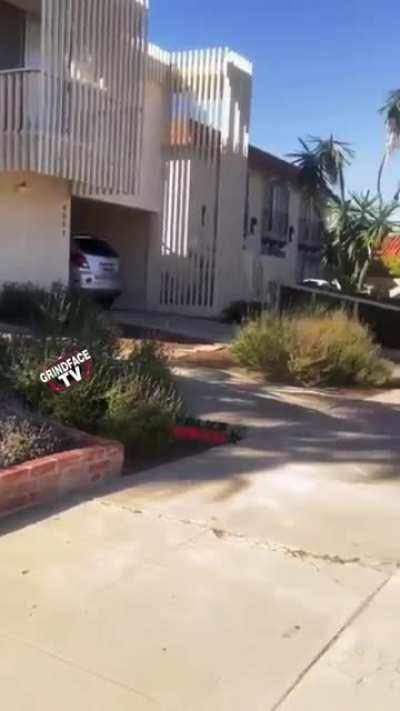 Deranged MAGA dumbfuck keeps screaming the N word