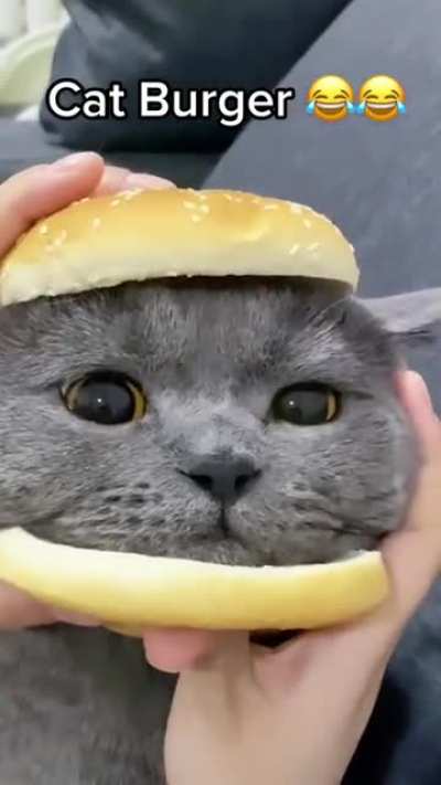 Cat burger ?..