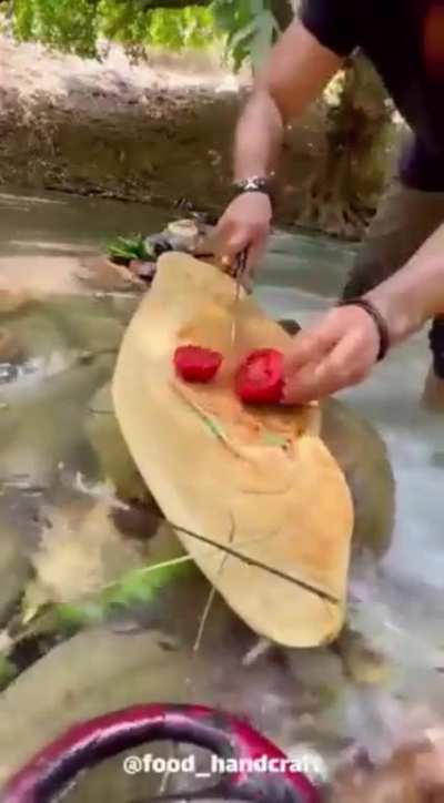 Outdoor meal