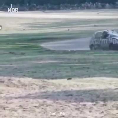 Rhino flips a car like a toy