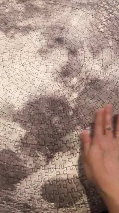 Started this moon puzzle at the beginning of quarantine and finally finished it today. Somehow ended up with this whole section as the last “piece”.