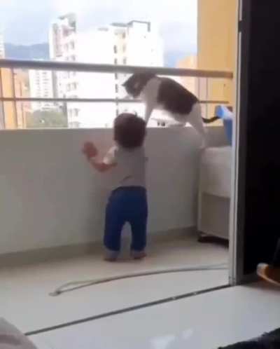 The way this cat is protecting.