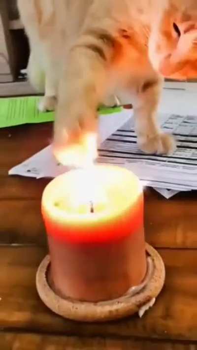 Playing with fire