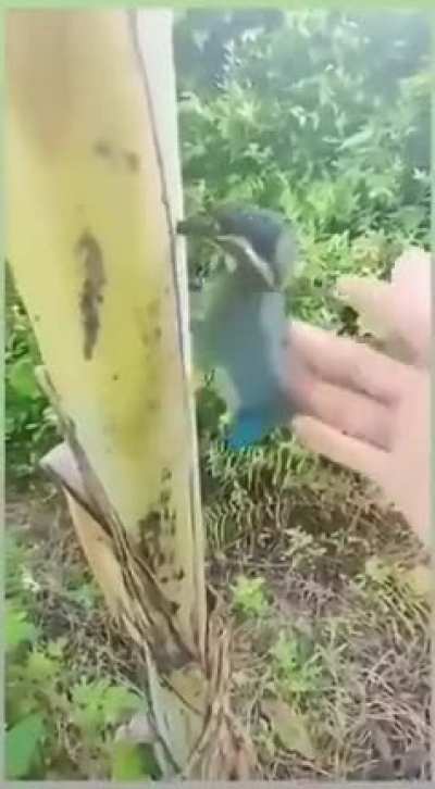 Watch where you fly