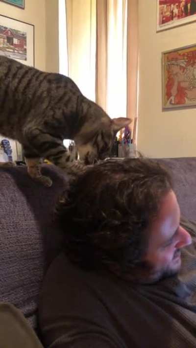 Personal groomer