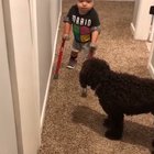 Little boy proudly shares his accomplishment with his dog