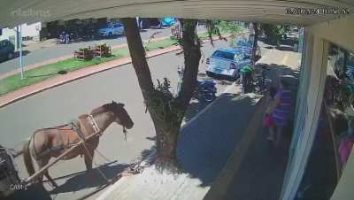 Man bit by a horse
