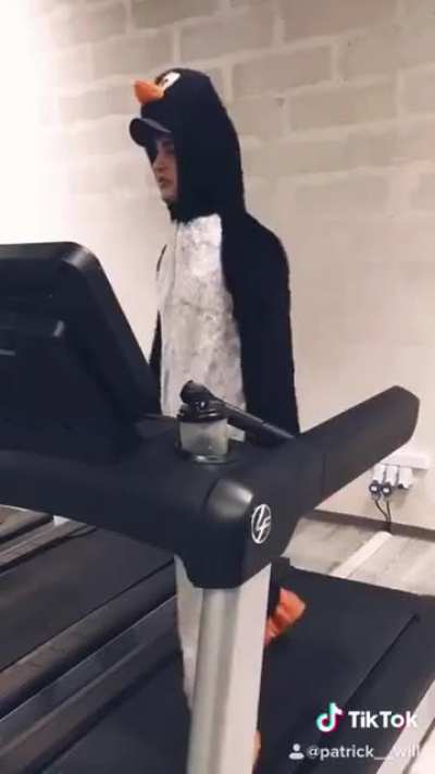 Do penguins workout? ?